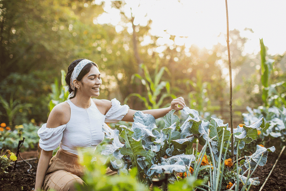 Dharana at Shillim 5*